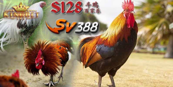 Situs Sv388 Aplikasi Sabung ayam Online Dan Slot Online Terpercaya Di Indonesia 