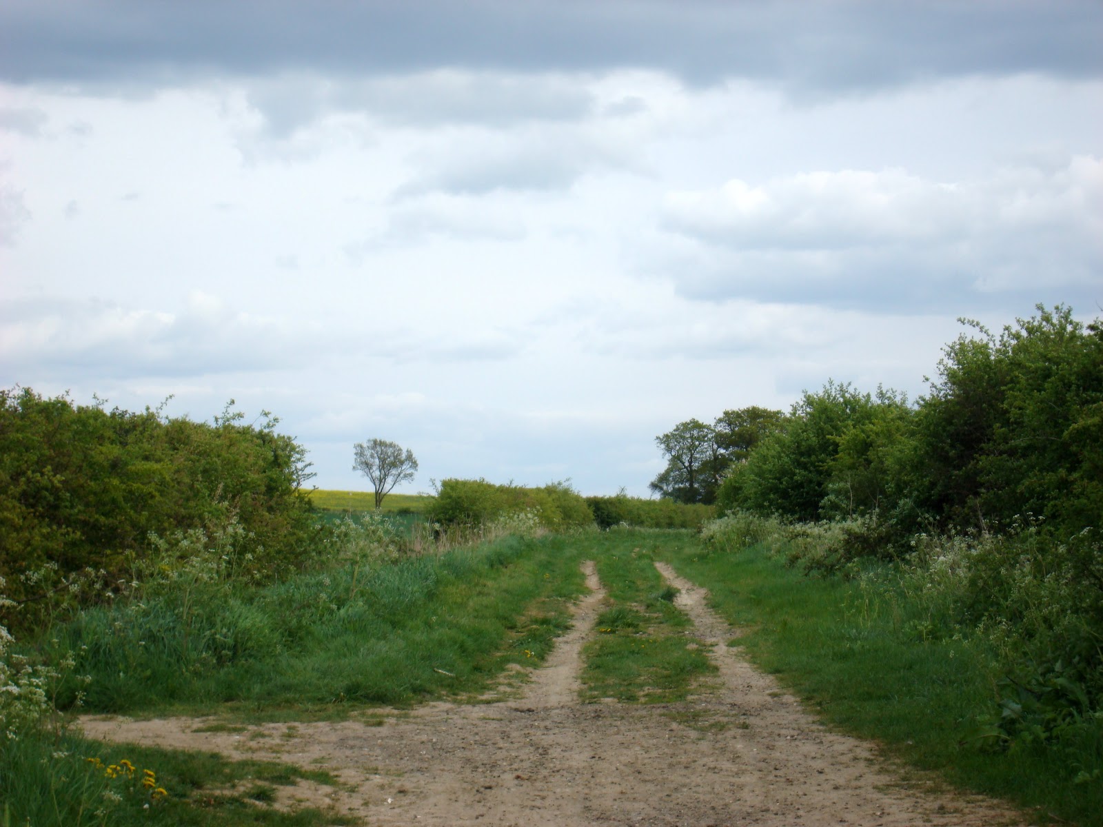 DSC07730.JPG