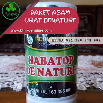 OBAT ASAM URAT ALAMI DARI TUMBUHAN