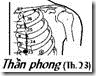 clip_image016
