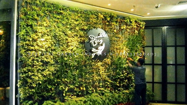 Berikut ini cara merawat vertical garden sebagaimana tanaman lainnya, vertical garden juga perlu mendapatkan sebuah perawatan yang tepat secara berkala yang wajib anda ketahui berikut ini tips cara melakukan perawatan dari kami jasa pembuatan vertical garden jasa tukang taman vertical garden Jakarta barat, Jakarta Utara, Jakarta Timur, Jakarta Pusat, Jakarta Selatan, Bogor, Bekasi, Depok, Tangerang, JABODETABEK