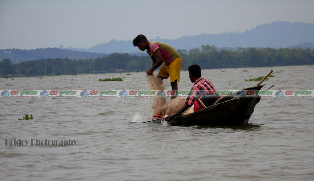 হাকালুকি হাওরে পোনা মাছ শিকারী ও পাচারকারীদের দৌরাত্ম