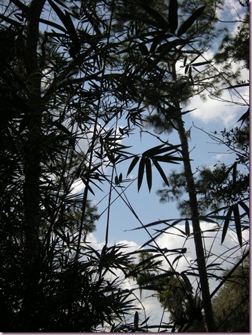 DSCN1858