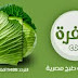 مشاهدة البث الحي المباشر قناة سي بي سي سفرة المصرية للطبخ لايف أون لاين عالنت Watch live telefaz cbc sofra for cooking channel online 3alent