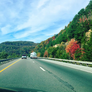 Fall leaves and scenary