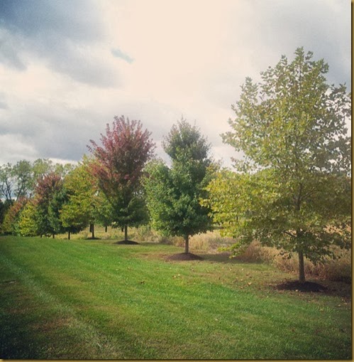 fall