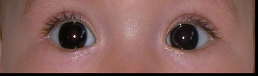 Ojos Leyre