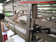 Animal Farms