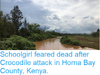 https://sciencythoughts.blogspot.com/2019/02/schoolgirl-feareddead-after-crocodile.html