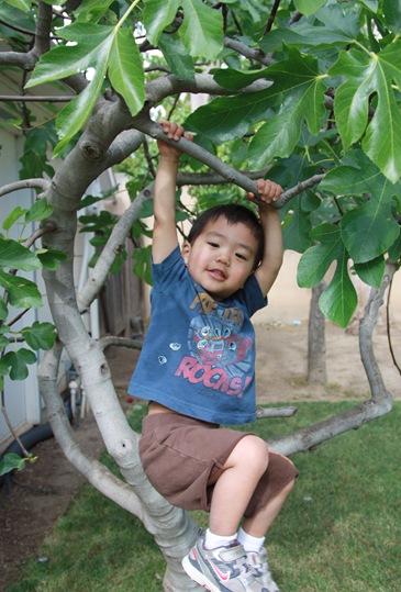 2011-06-18_008