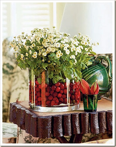 cranberry-daisies