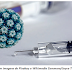 Terapia com vacinas de RNA mensageiro elimina tumores causados por vírus HPV em testes com animais