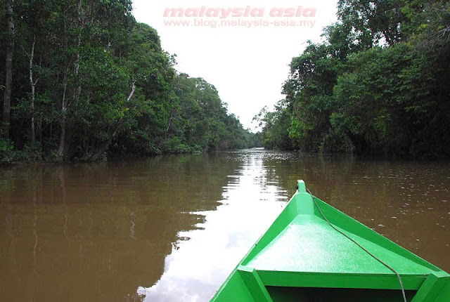 Cruise at Kinabatangan River