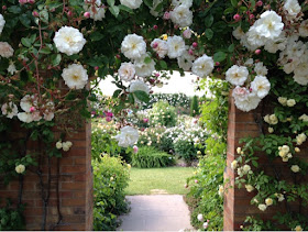 Rose archway at the David Austin Garden