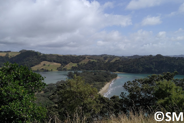 Photo vue sur Wenderholm Regional Park Auckland Nouvelle-Zélande