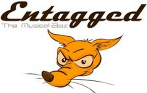 Entagged, The Musical Box, An Automated Audio File Tagger Written in Java.