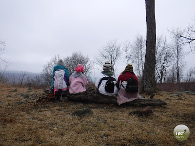 Descansando en Timp Torne Trail, a pocos metros del Appalachian Trail