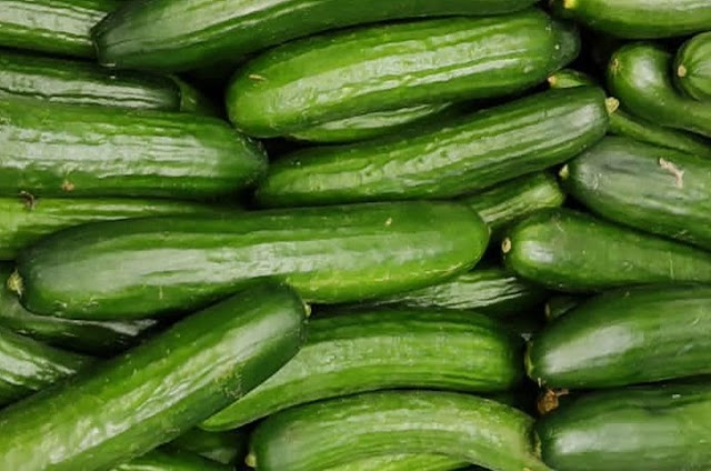 Wonderful Benefits of Cucumber idoltube
