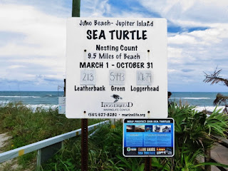 Loggerhead Beach sea turtle count sign Jupiter, Florida, USA