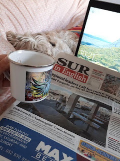 Sur in English being read in bed with a cup of coffee in a Pigsy mug