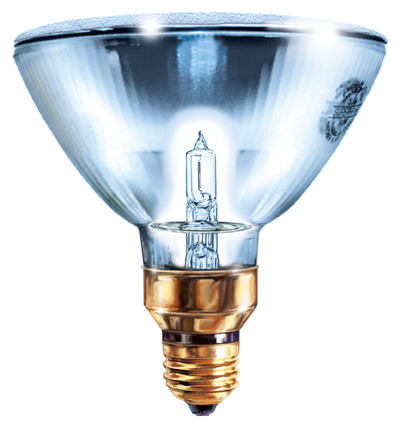 Halogen Lamps