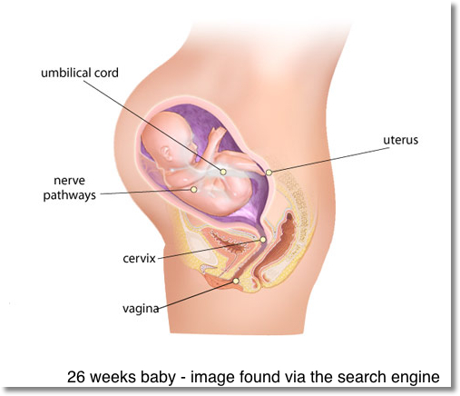 Pregnancy Diary 26 Weeks And Giveaway Romanian Mum Blog