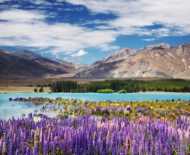 Lago-Tekapo-Nova-Zelandia