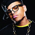 Chris brown - nobodys perfect (cdq)