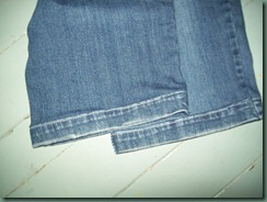 Bermuda Shorts 011