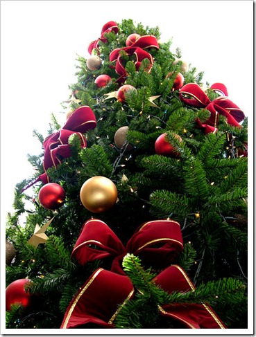 NATAL-~1