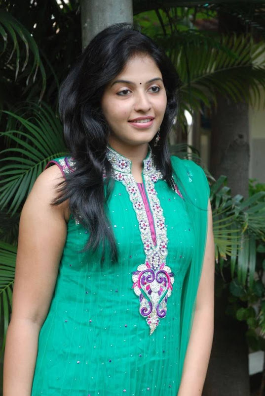 Abctress Anjali Latest Photos hot images