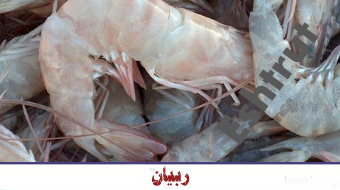 https://blogger.googleusercontent.com/img/b/R29vZ2xl/AVvXsEhM6ZR1l_gEPZZLUTbWz7Ov4T5CIMQJSYUPUcQ7Un6rzwQYfc6Med1HtUdNIPtsUn4rkWSlUkWcuAWensR7licu8VFb5eJ6gO7SJ85MAfE4MWJLJ-_kWiLzbCVdftVWCtuEzl3LA2ofFgk/