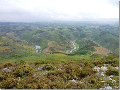 P1000755