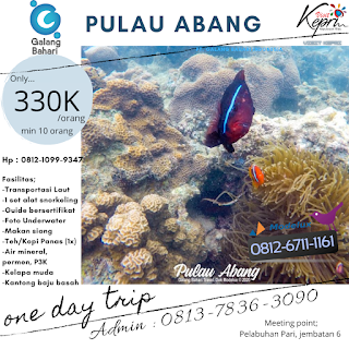 Pengalaman Snorkelling Pulau Abang dengan Wisata Galang Bahari Tour Travel 0812-6711-1161