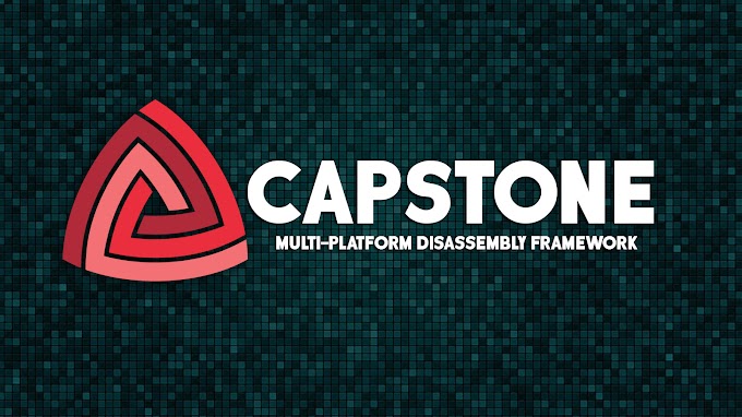 Capstone (Disassembly Framework)