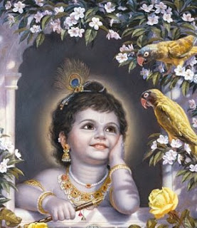 lord krishna pictures with birds
