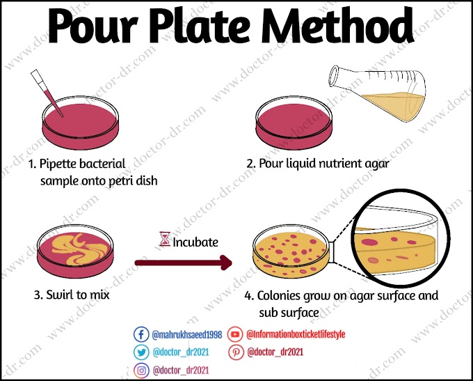 Pour Plate Method: Definition, Principle, Procedure, and Applications