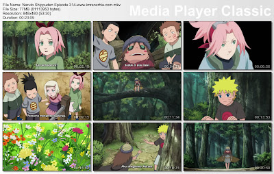 Download Film / Anime Naruto Episode 314 "Hujan Kesedihan" Shippuden Bahasa Indonesia