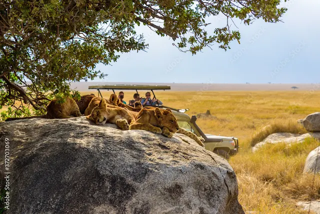 tanzania