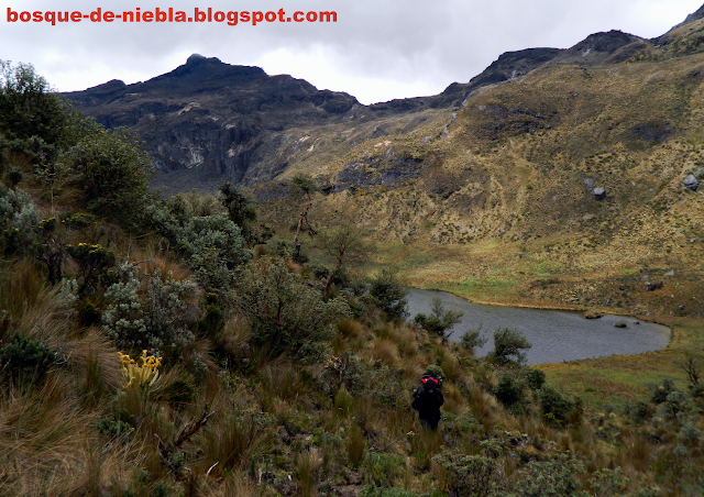 laguna totarito, peñas de caracoli