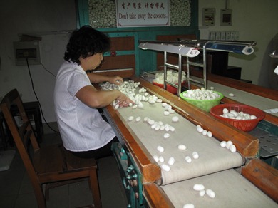 Sorting, Silk Factory, Suzhou, China, 2009 (2358)