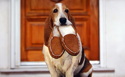 This Is My Shoes