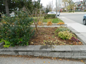 Bedford Park Toronto Fall Cleanup After by Paul Jung Gardening Services Inc.--a Toronto Gardening Company