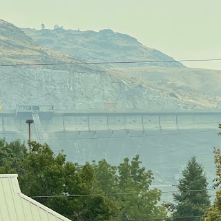 Smokey skies on tree line over to a hillside from wildfires