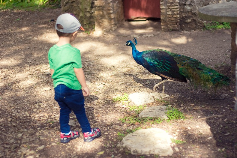 toddler_austin_Texas