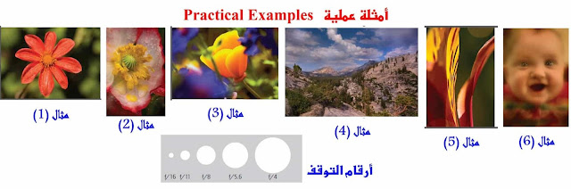 التصوير الفوتوغرافي / فتحة العدسة، والتركيز، وعمق المجال