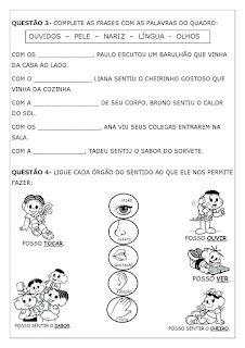avaliação de ciencias 2 ano
