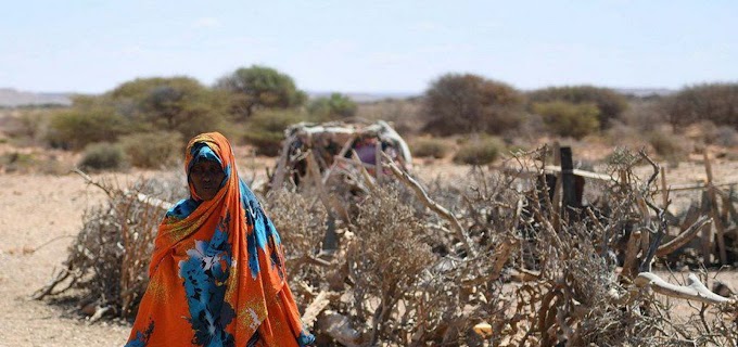 ONU alerta que 22 milhões de pessoas correm risco de morrer de fome em região do continente africano