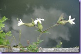 mini_DSC08890