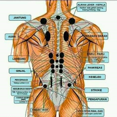   Terapi Totok Punggung, Apa Manfaatnya Bagi Kesehatan?